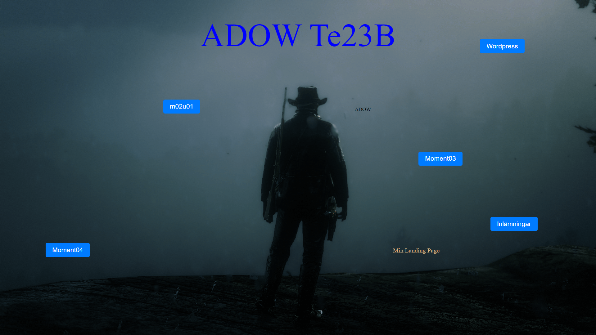 Skärmbild av min landing page